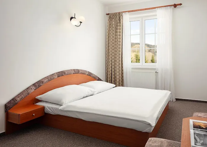 Отель Hotel Adrspach